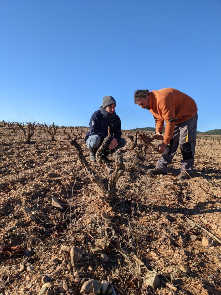 Winemaker Roberto from the winery Casa de Si and Antoine from AGROTOPIA in a vineyard of Grenache Noir