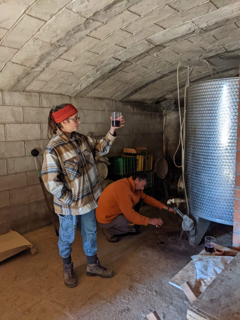 Winemaker Roberto from winery Casa de Si and Carmen from AGROTOPIA tasting red wine in the cellar